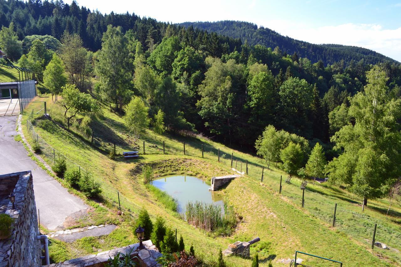 Hotel Studenec Rožmberk nad Vltavou Buitenkant foto